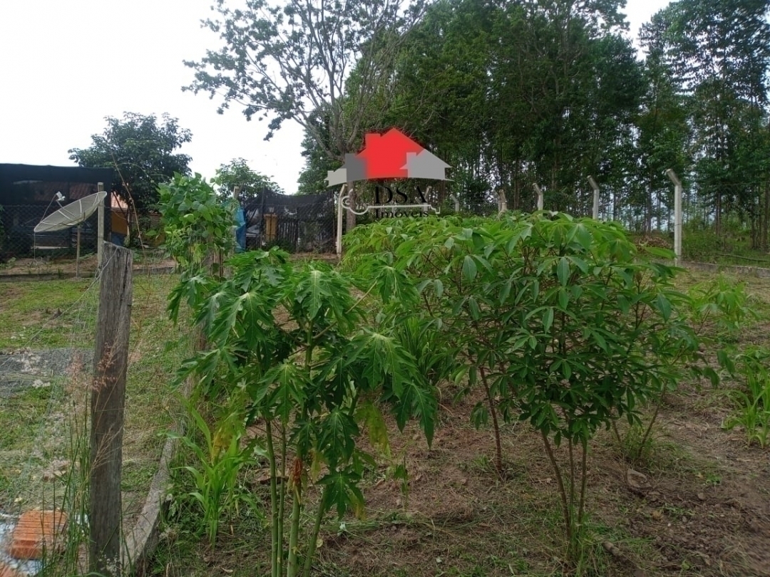 Fazenda à venda com 2 quartos, 120m² - Foto 5